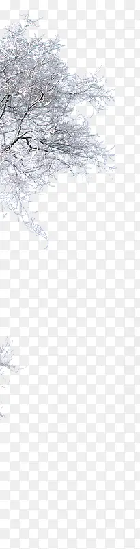 ������֦װ�κ���-������