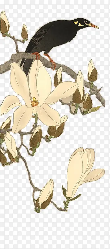 �廭-����-������