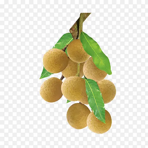 ����-������