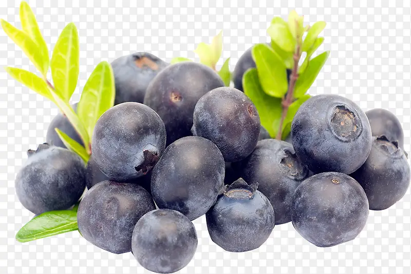 ��ݮ-������