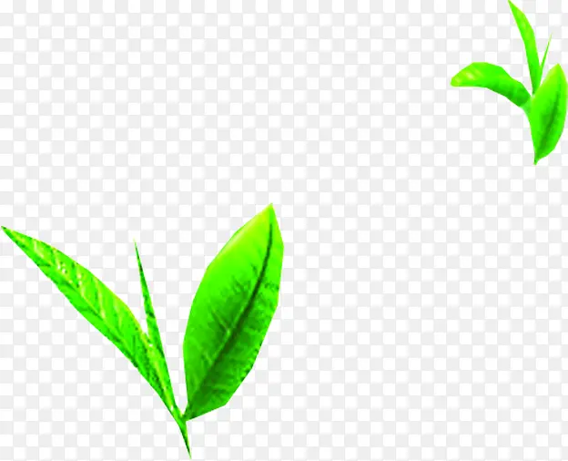 �����������贴��-������