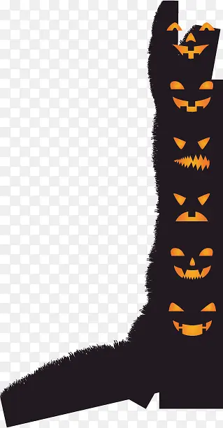 ��ͨ��ʥ���۾���֦-������