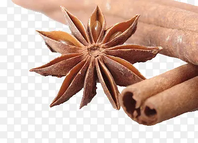 ±ζ����-������