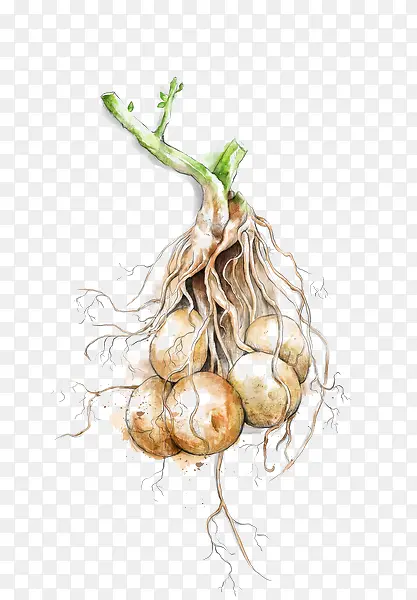 ����-������