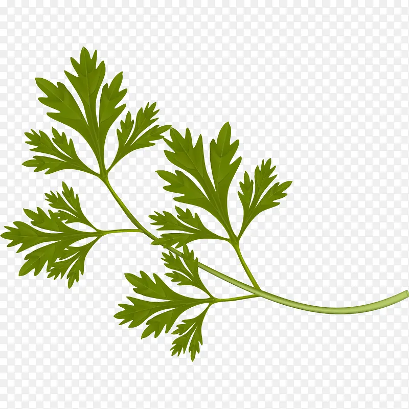 �ֻ��߲�ͼƬ���-������