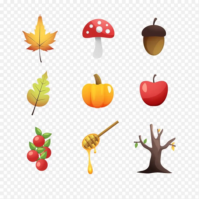 ����֦-������