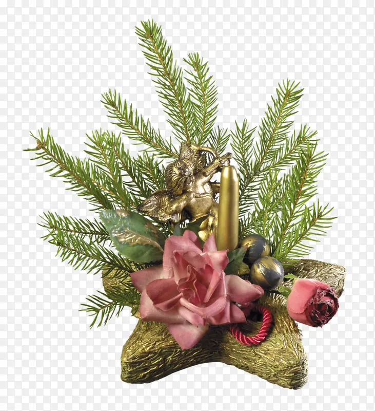 ��ʥ����װ��ͼƬ-������