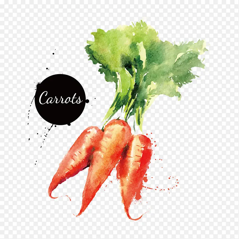 ˮ�ʺ��ܲ�-������