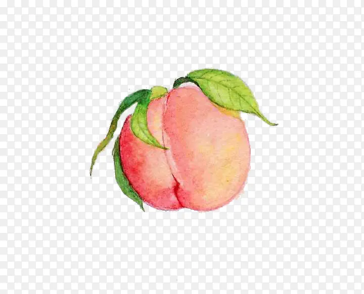 �ֻ�ˮ����-������