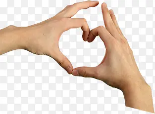 ���ư���-������