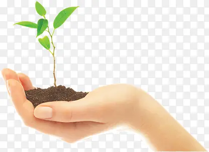 ����ֲ��-������