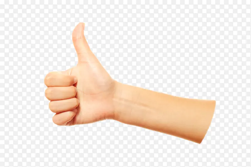 ���� ����-������