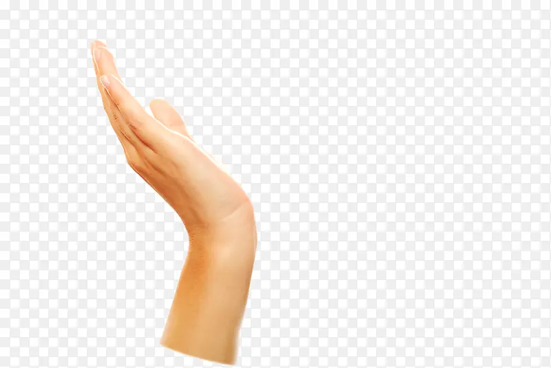 ���� ����-������