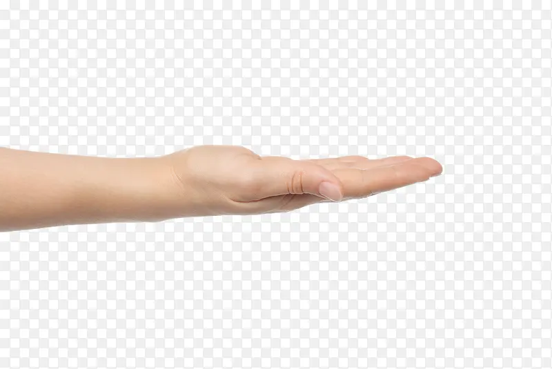 ���� ����-������