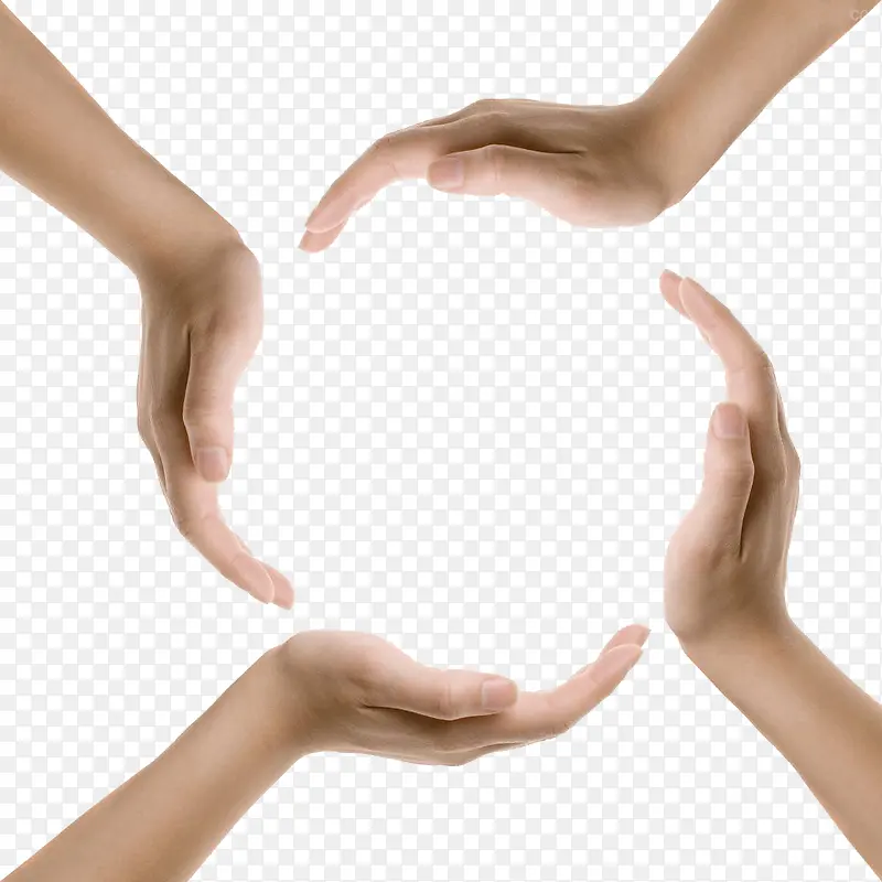 �ֲ�-������