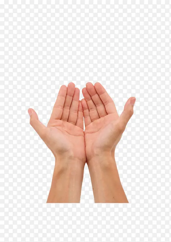 ���� ����-������