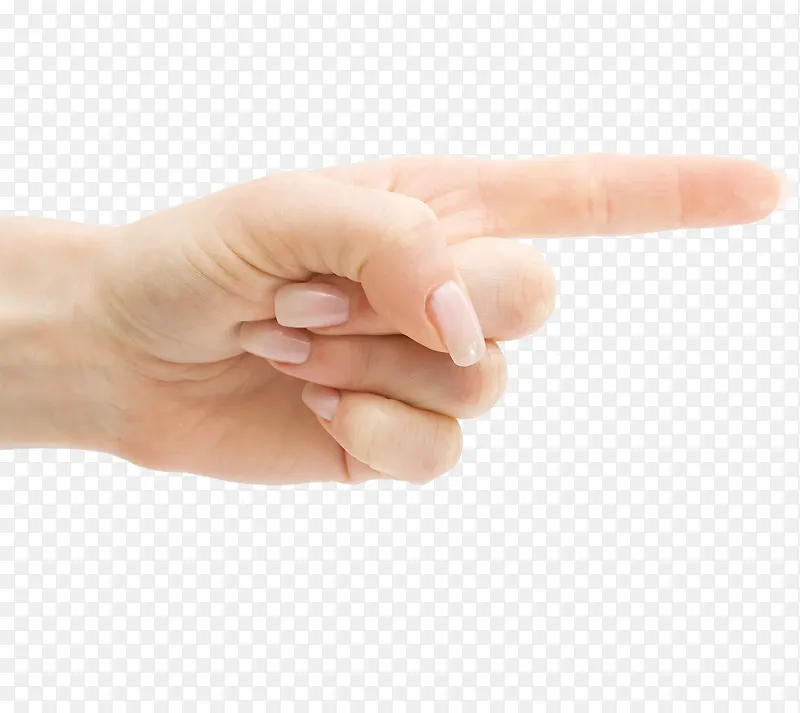 ��ָ-������