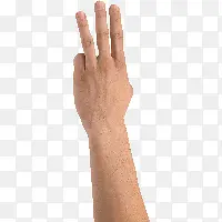 ��ָ-������