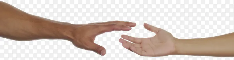 ǣ��-������