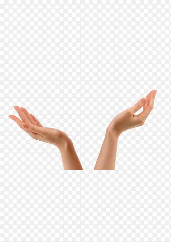 ����������ָ-������