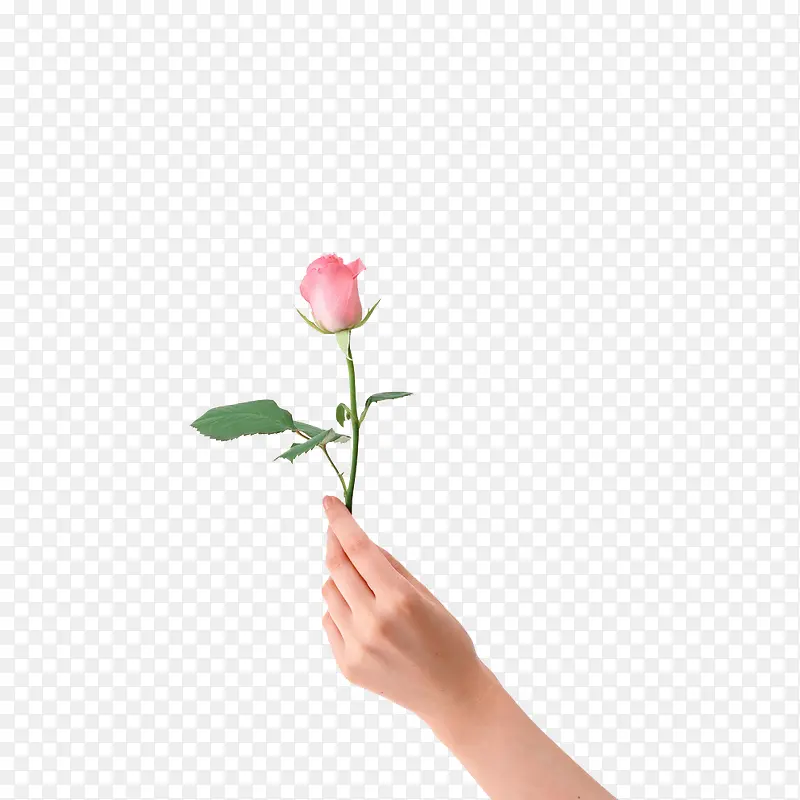 ����-������