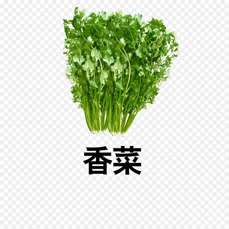 ���-������