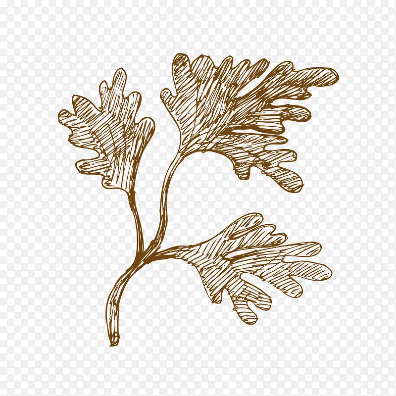 �ֻ����-������