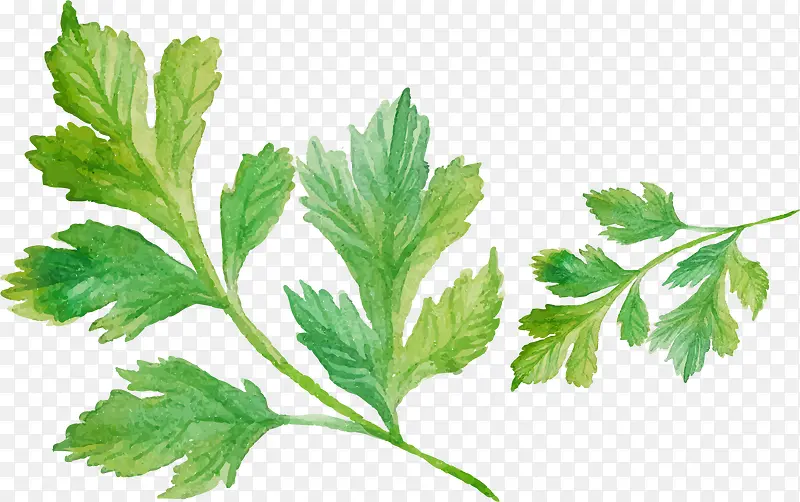 �ֻ����-������