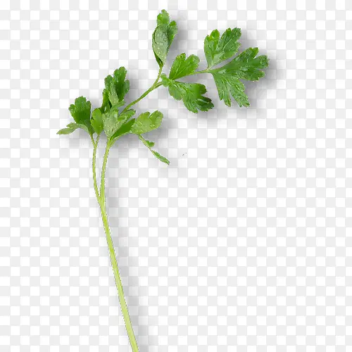 ���-������