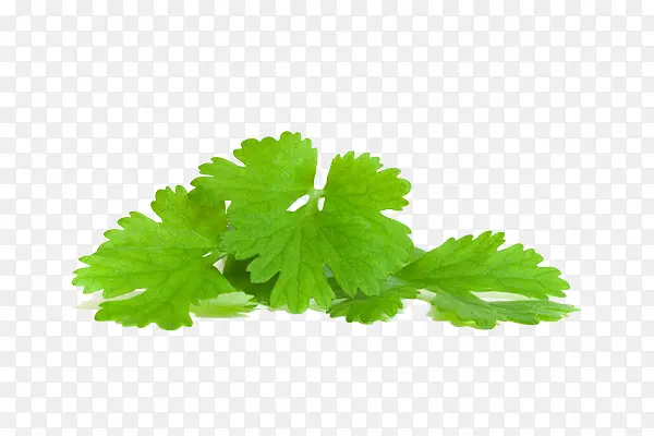 ��ɫ���-������