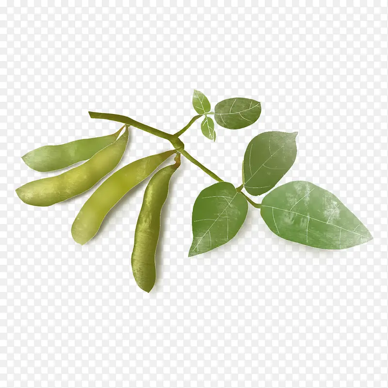 ��ζ�߲˶���Ԫ�����-������