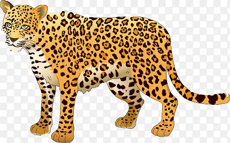 �ֻ��ϻ�-������