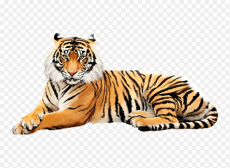 �ֻ��ϻ�-������