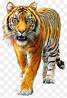 �ֻ��ɫˮ���ϻ�-������