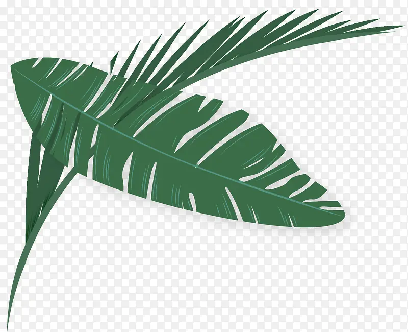 ʸ����ɫ���Ҷ�ز�-������