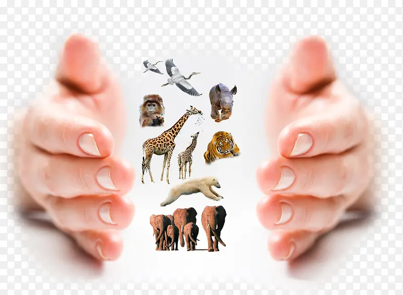 ��������-������