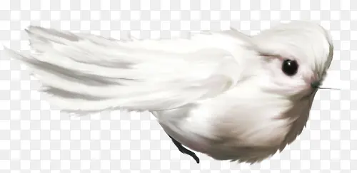 ��ɫ�ɰ�С��ͼƬ-������