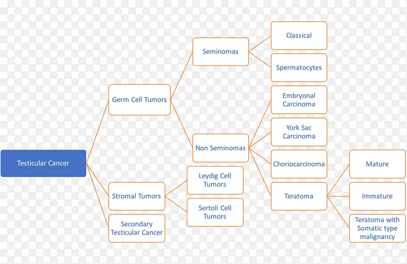 Ʒ����֯-��֢-������