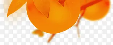 ��ɫ����ˮ��װ��-������