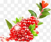 ��ɫˮ��ʯ��Ч��-������