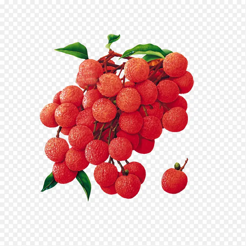 ��ɫ��֦ˮ��-������