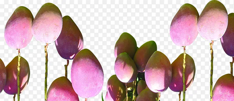 ��ɫâ��ˮ��װ��-������