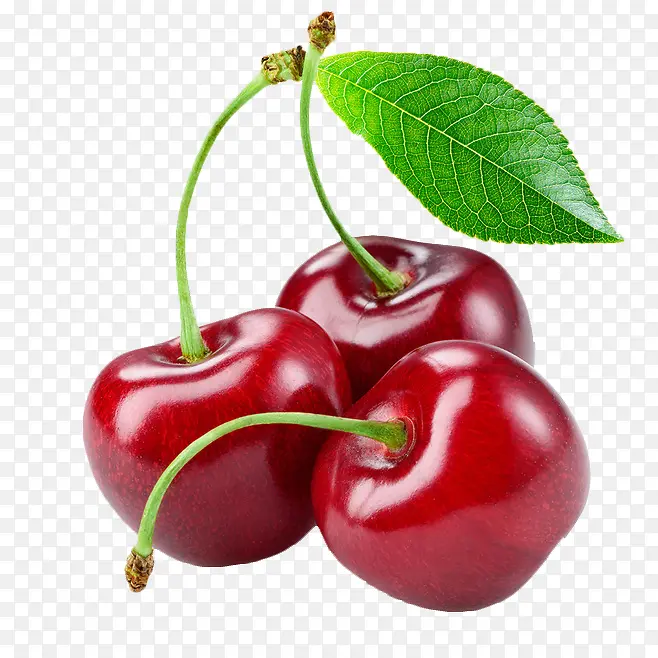 ˮ����֦����ͼ��ɫ-������