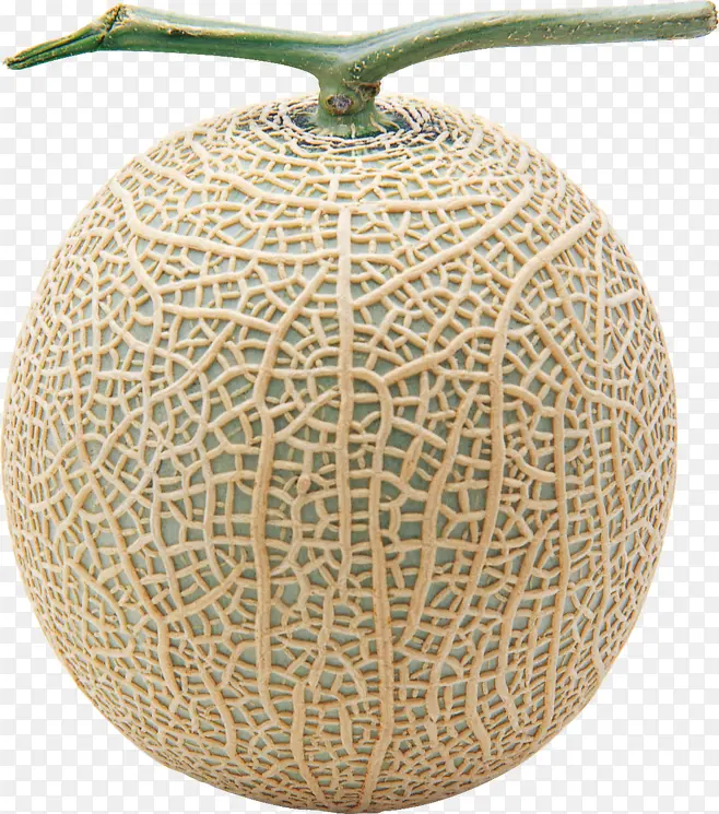 ���ܹ�-������