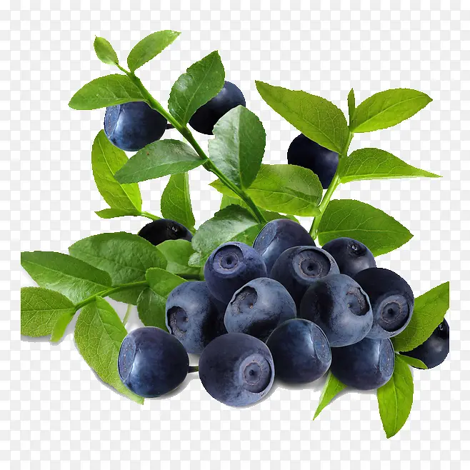 ��ݮ-������