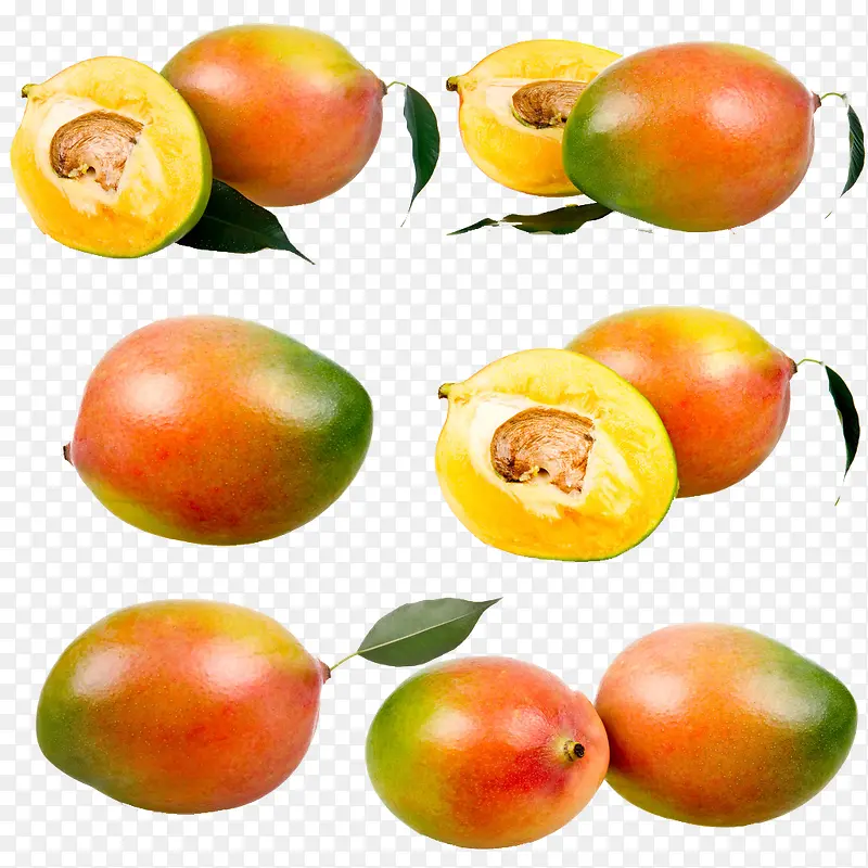 ��ɫâ��-������