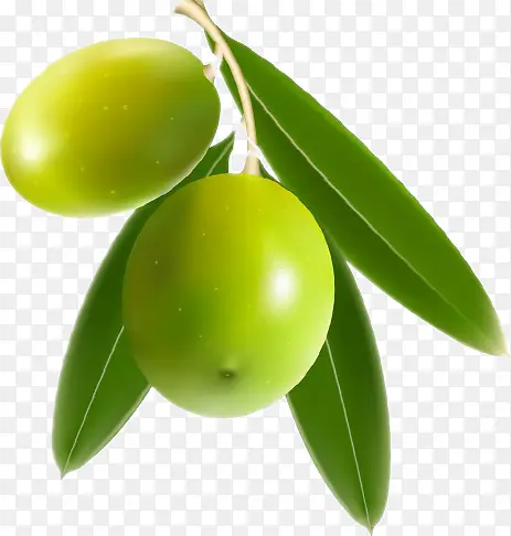 ��ɫˮ��-������