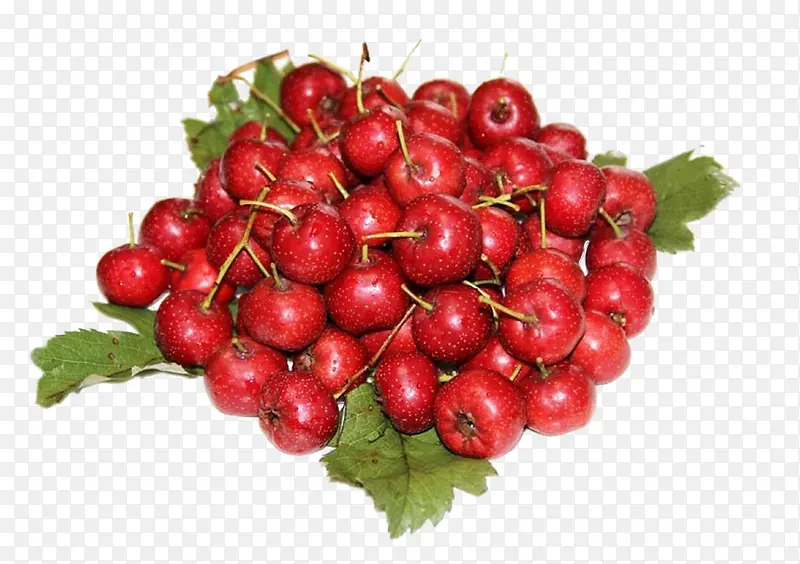 ��ɫʳƷɽ�-������