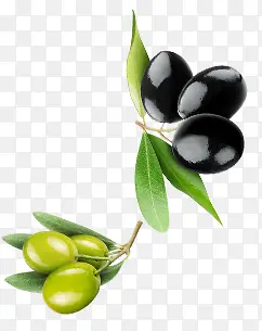 ˮ��-������