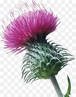 ������ɫˮ����޼��-������